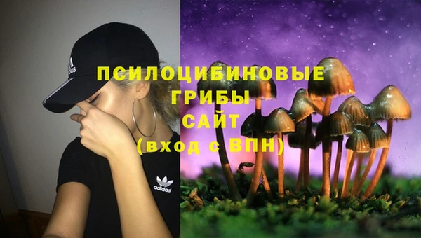 ПСИЛОЦИБИНОВЫЕ ГРИБЫ Армянск